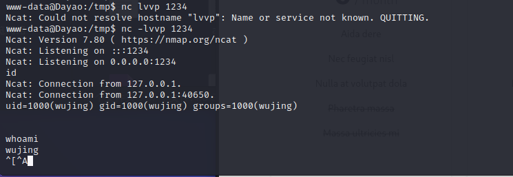 nmap